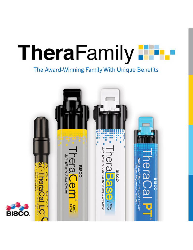 TheraFamily Brochure